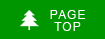 PAGE TOP